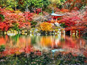 Daigoji temple in autumn, Kyoto. Japan autumn seasons.