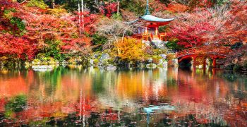 Daigoji temple in autumn, Kyoto. Japan autumn seasons.